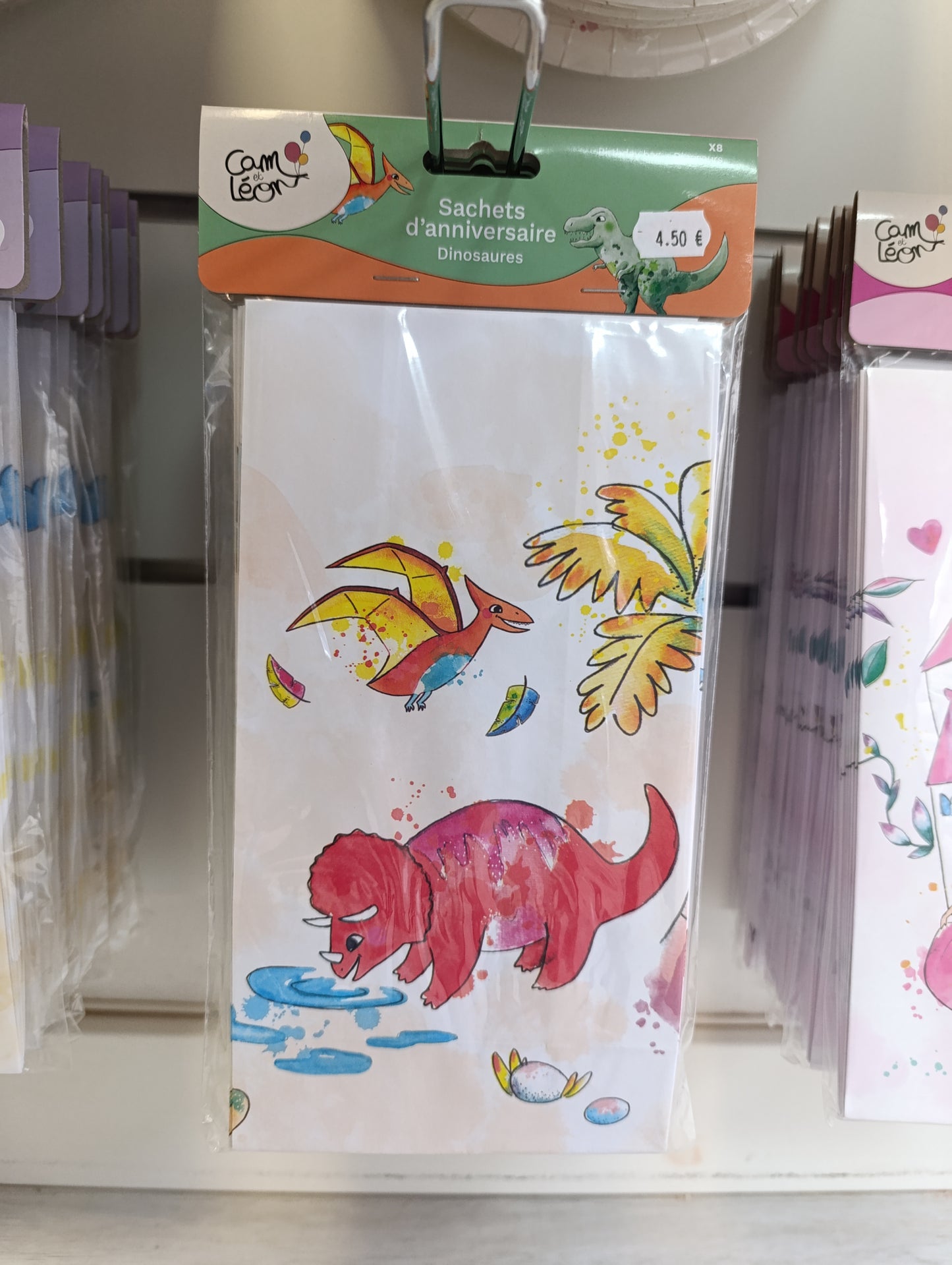 Sachets d'anniversaire dinosaures lot de 8